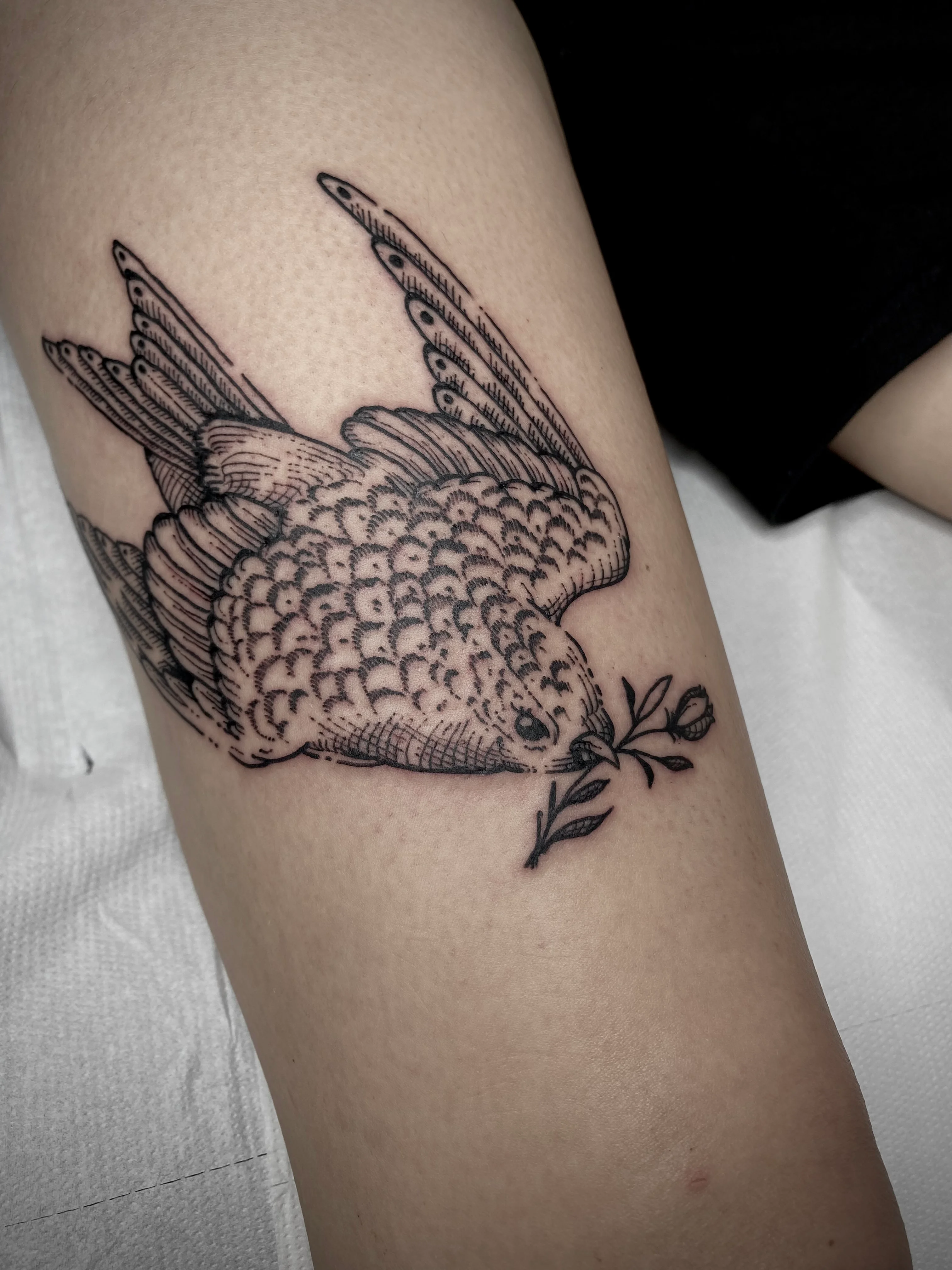 Engraving, Illustrative and Linework tattoo by Gil