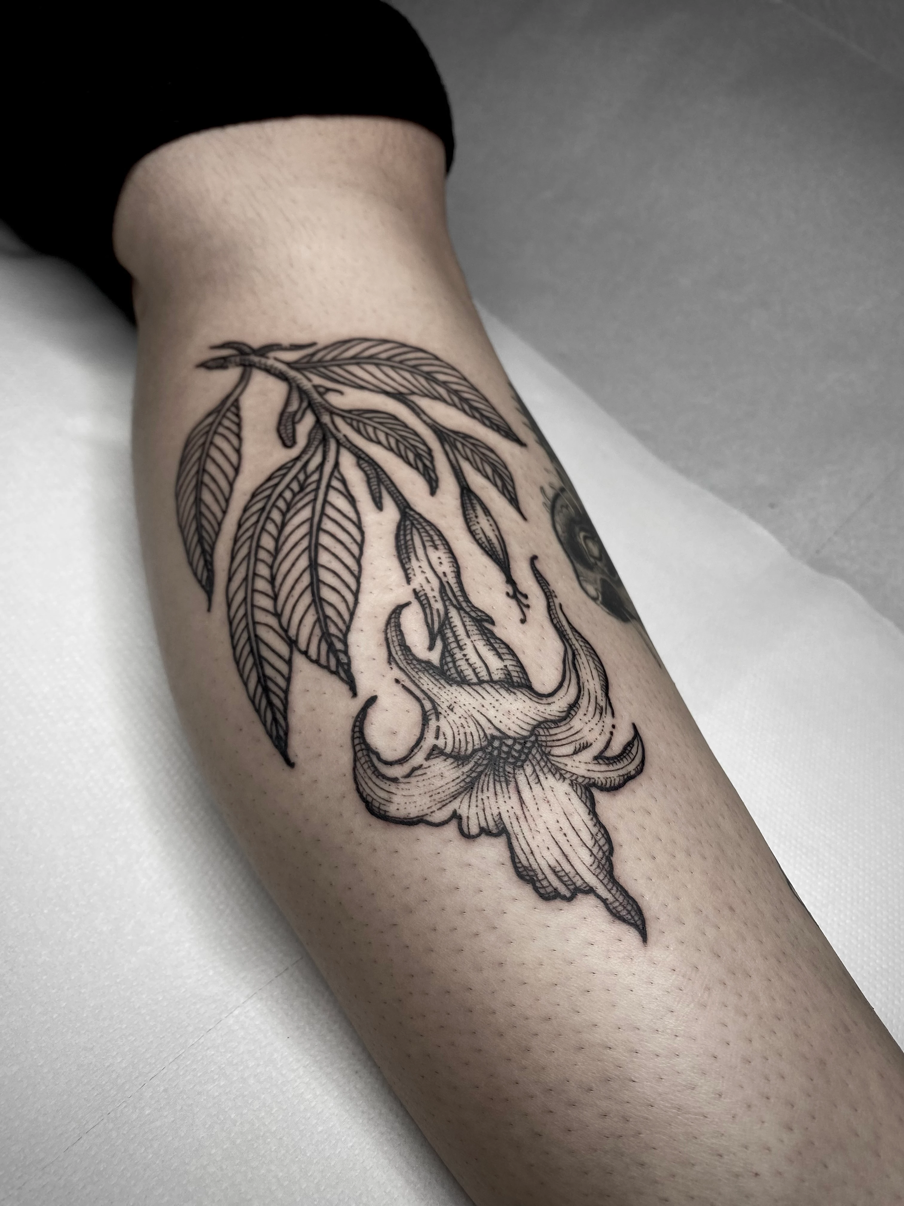 Engraving, Floral & Botanic and Linework tattoo by Gil