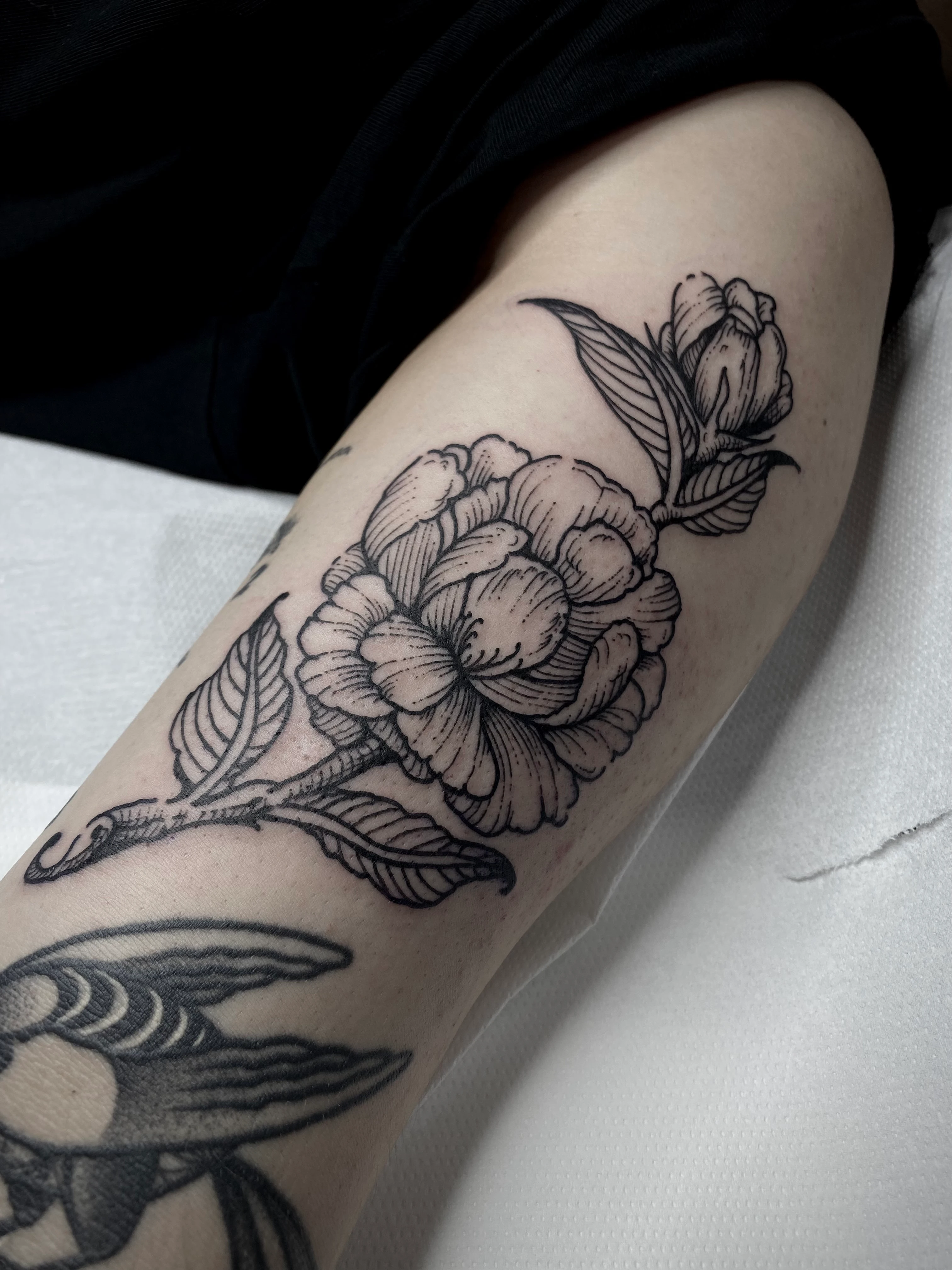Engraving, Illustrative and Linework tattoo by Gil