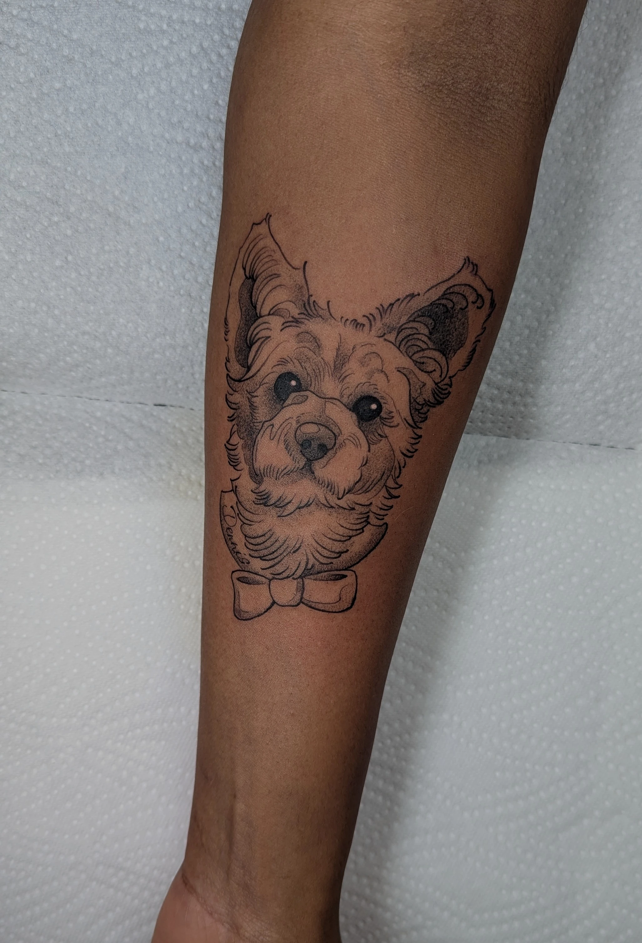 Illustrative tattoo by Sera