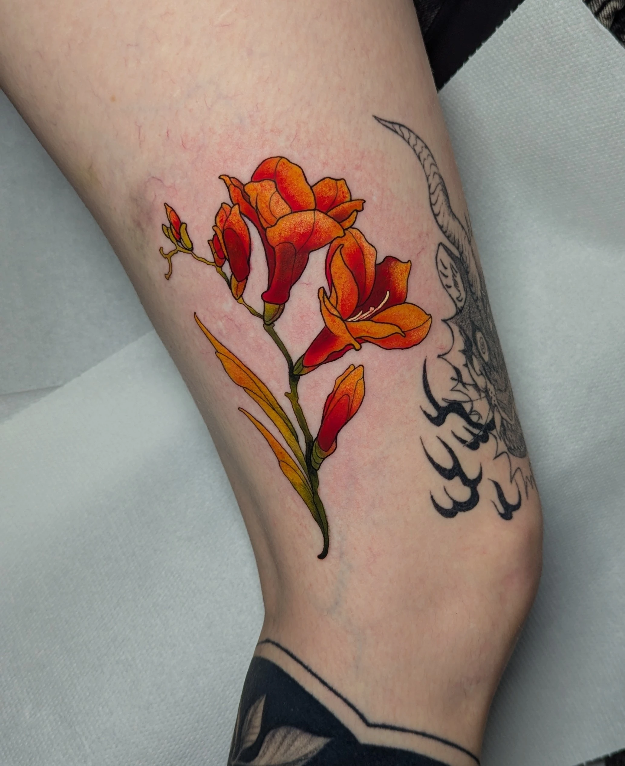 Floral & Botanic and Neo Traditional tattoo by Sera