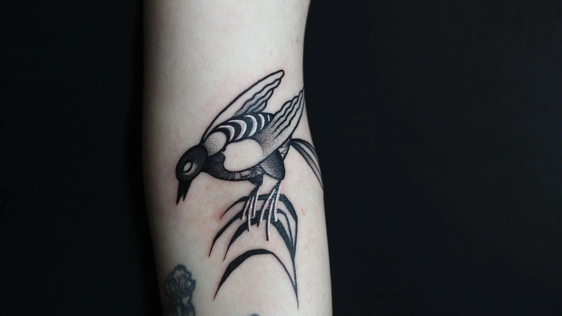 Blackwork and Dotwork tattoo by Ed Zlotin