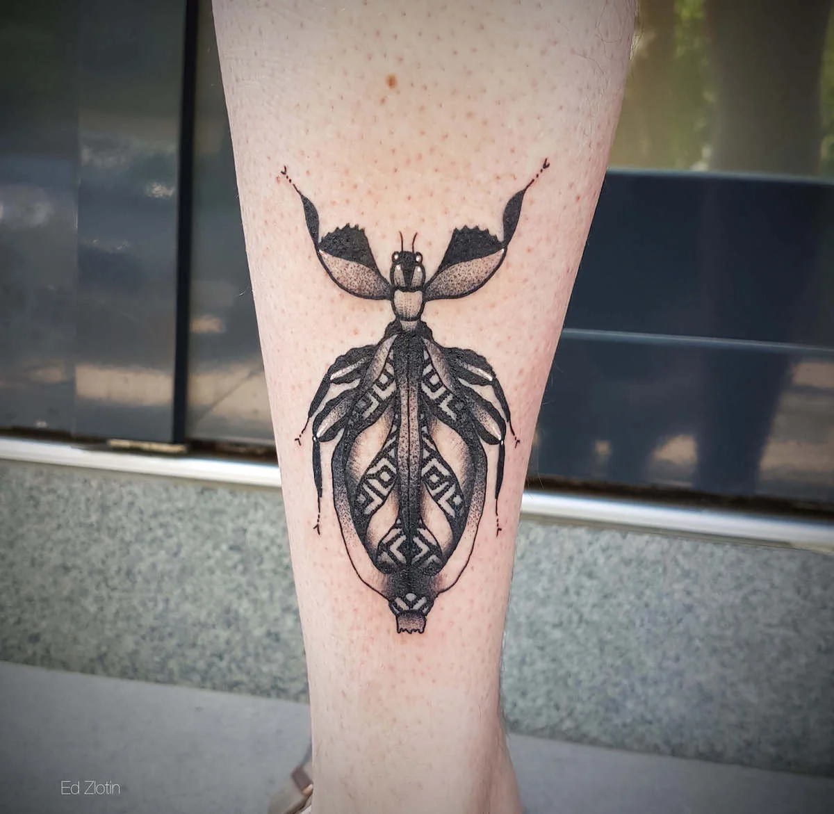 Blackwork and Dotwork tattoo by Ed Zlotin