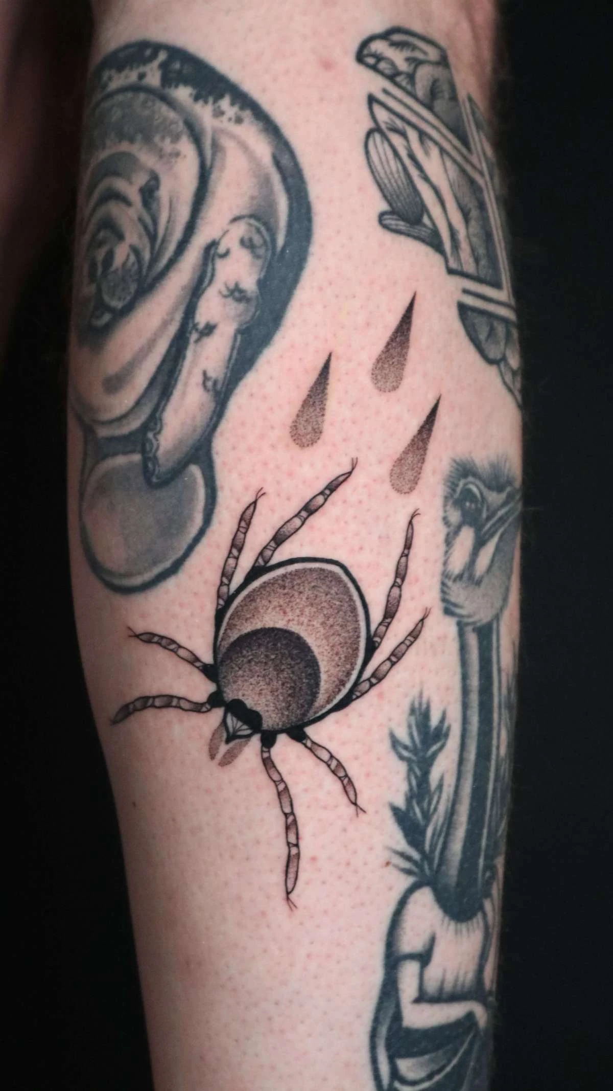 Blackwork and Dotwork tattoo by Ed Zlotin