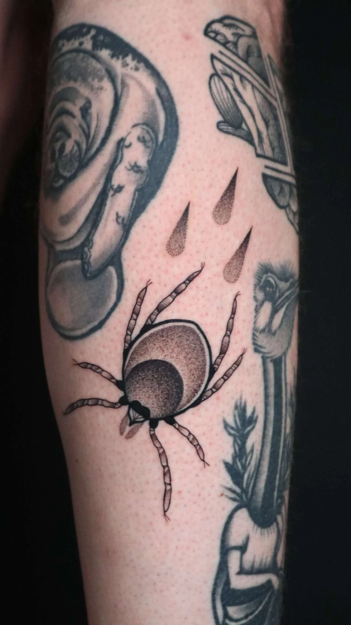 Blackwork and Dotwork tattoo by Ed Zlotin