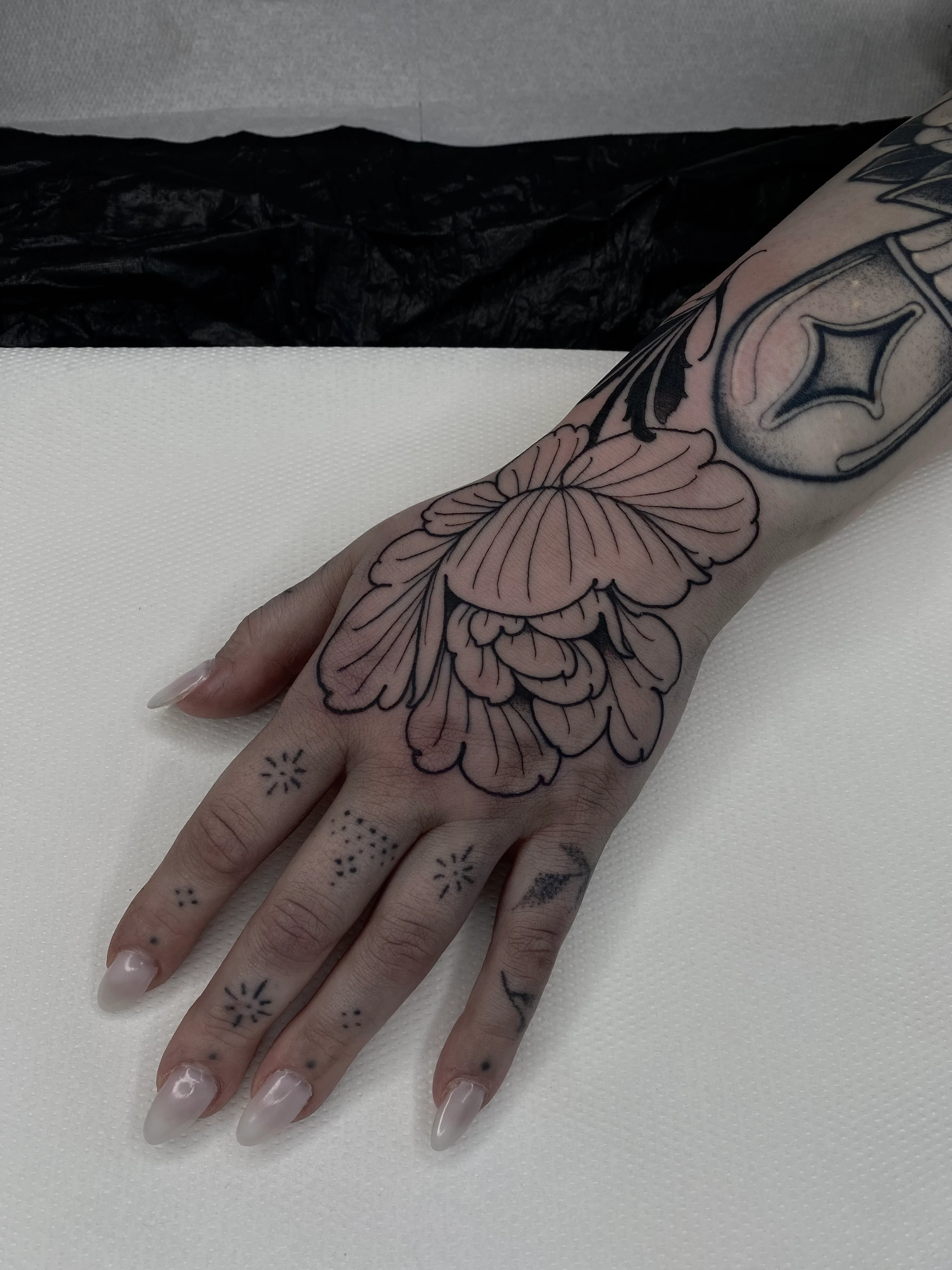 Floral & Botanic, Blackwork, Neo Traditional and Linework tattoo by Sinah Ra